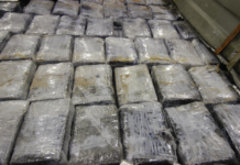 Se decomisan más de 300 libras de mariguana