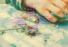 Nuevo México legaliza el uso recreativo de la mariguana