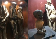 INAH acusa a Guanajuato de causar daños a cuerpos momificados en el famoso museo