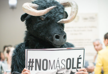 Colombia aprueba ley que prohíbe las corridas de toros en una histórica victoria para los que abogan por los derechos de los animales