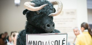 Colombia aprueba ley que prohíbe las corridas de toros en una histórica victoria para los que abogan por los derechos de los animales